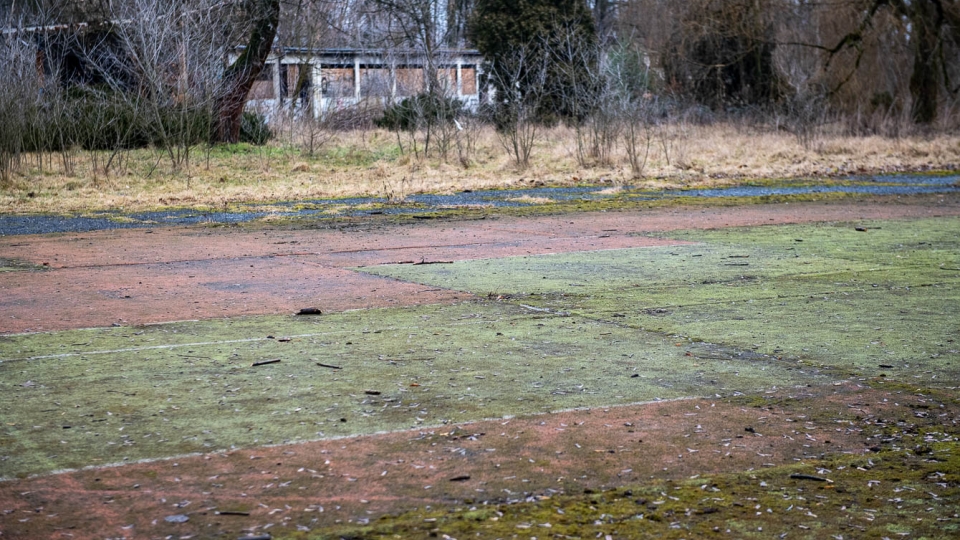 W Borku Fałęckim powstanie centrum sportowe Jest koncepcja