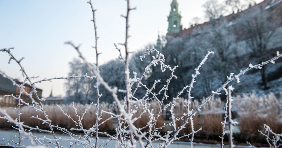 Uwaga, będą silne mrozy! IMGW ostrzega