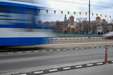 TOROWISKO_GRUNWALDZKI