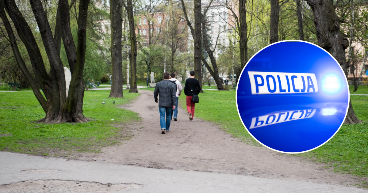 Mężczyzna zaczął dusić lekarkę w parku miejskim. Wcześniej zabił matkę?