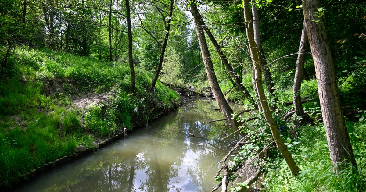 Planują nowy park wzdłuż Wilgi. Pozwoli na długie spacery [ZDJĘCIA]