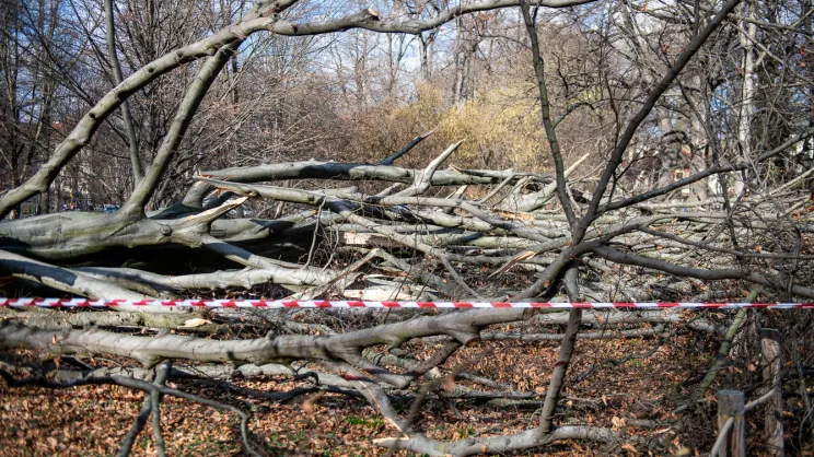 Zdjęcie przykładowe