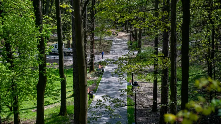 Park Bednarskiego - zdjęcie przykładowe