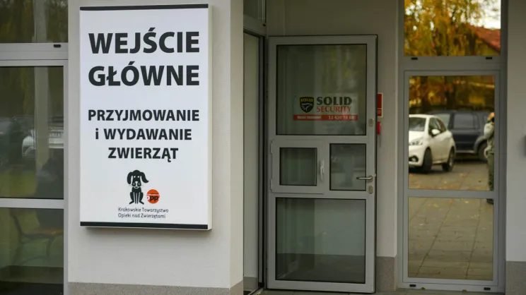 Schronisko dla bezdomnych zwierząt