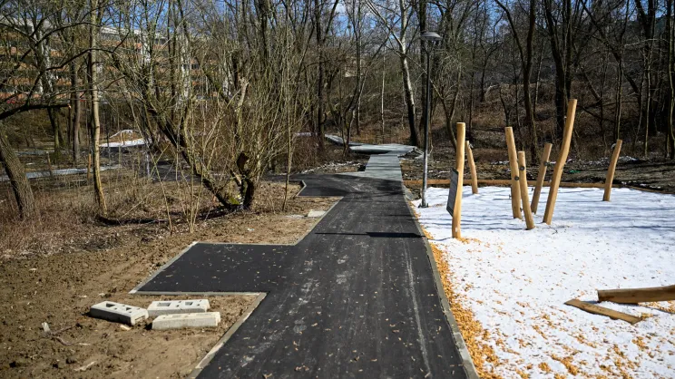 Park Dolina Kurczaba