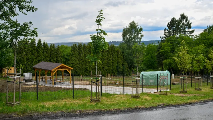 Ogród parcelowy przy Orlej