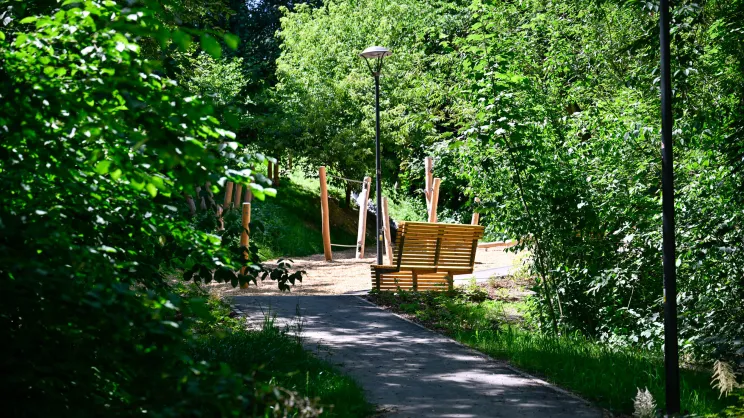 Park Dolina Kurczaba