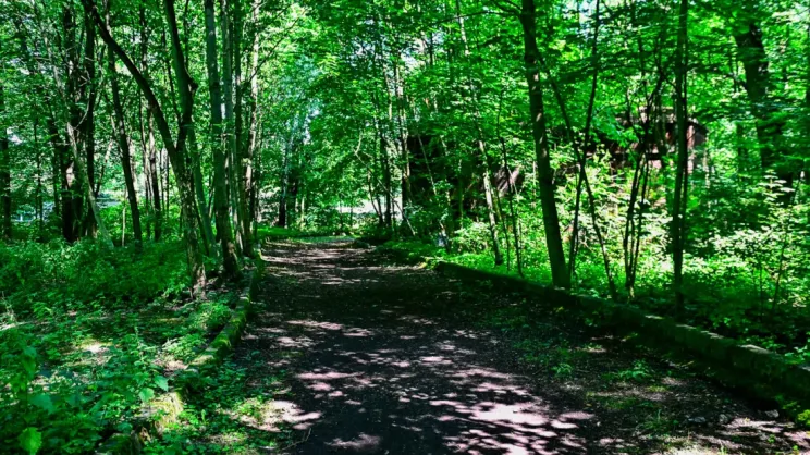 Park Grzegórzecki