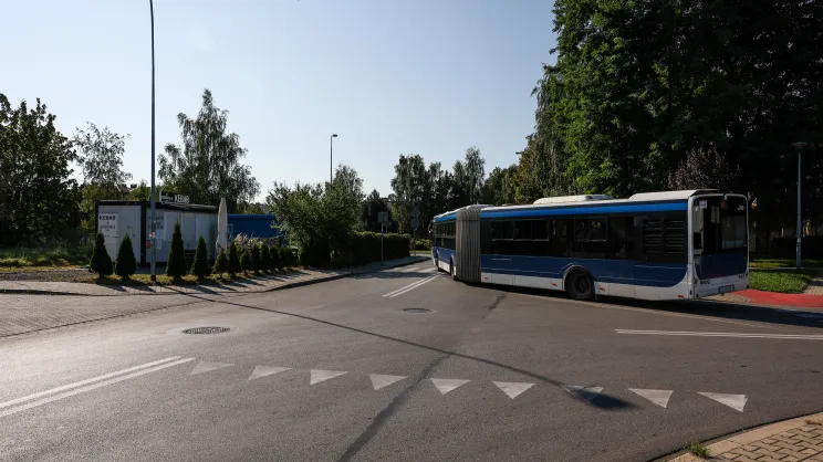 Widok na pętlę autobusową "Złocień"