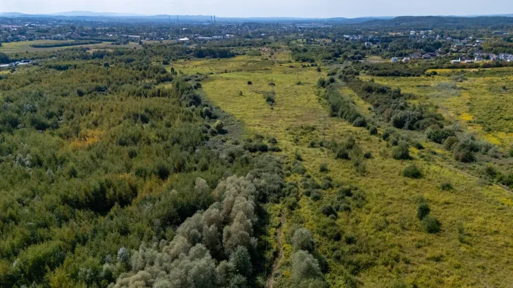 Łąki na Klinach, zdjęcie poglądowe