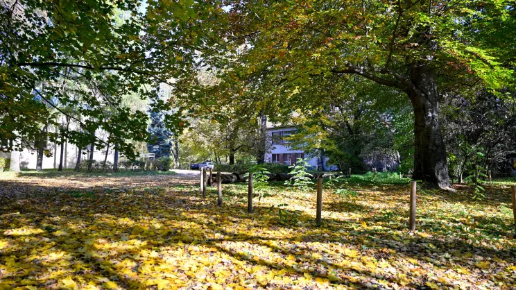 Zabytkowy Park przy Dworze Czeczów