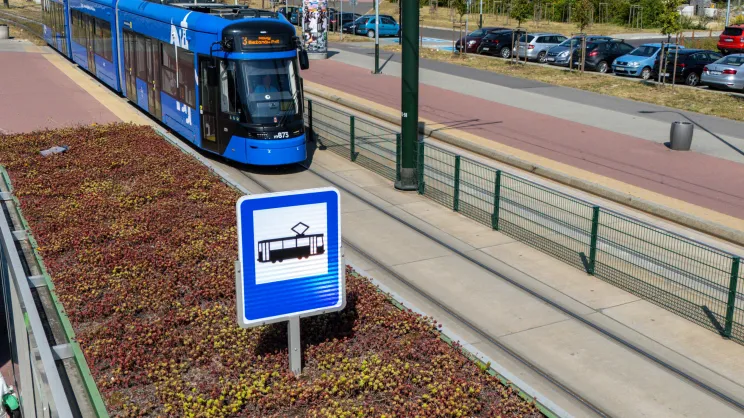 Zielone dachy na przystankach tramwajowych