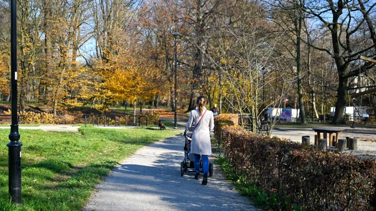 Park Jerzmanowskich