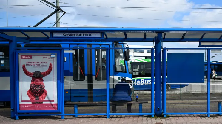 Pętla Czerwone Maki P+R