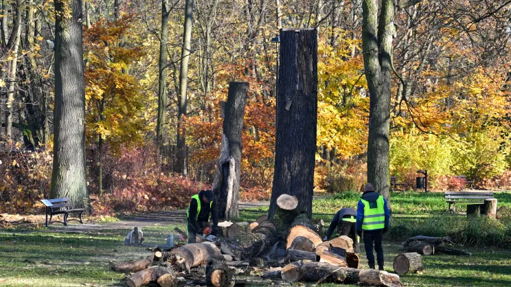 Park Jerzmanowskich