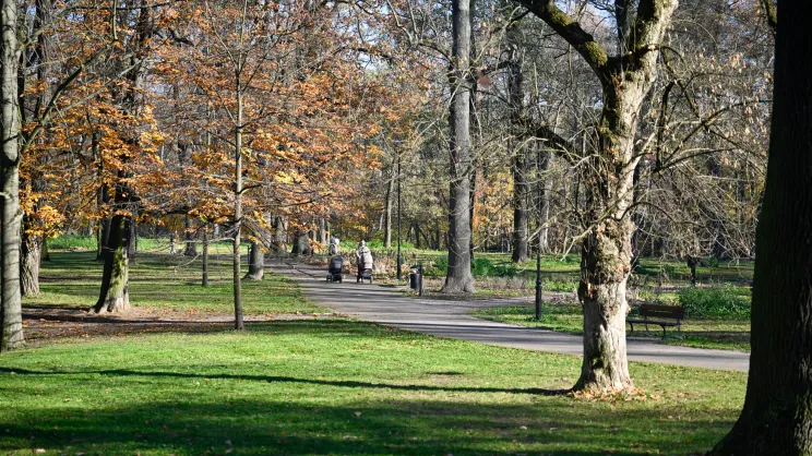 Park Jerzmanowskich