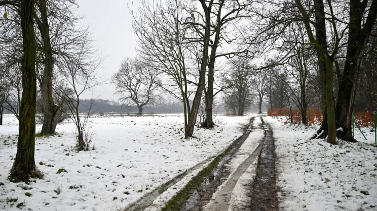 Tereny pod lecznicę dla dzikich zwierząt