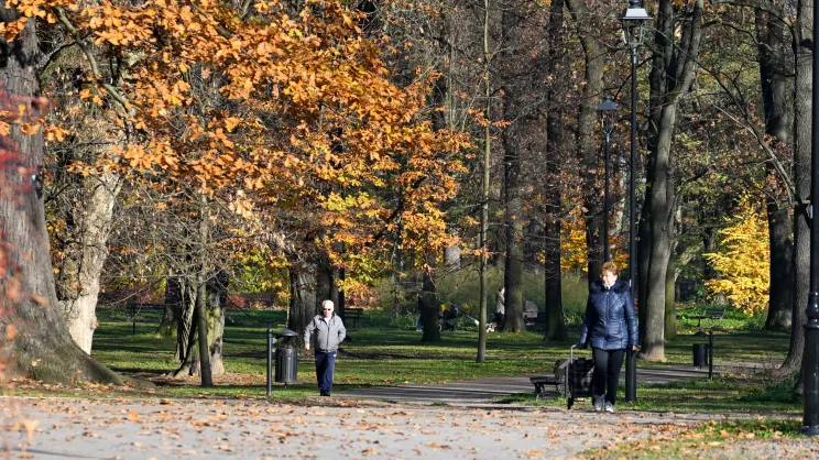 Park Jerzmanowskich