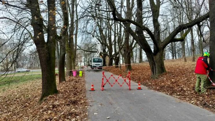 Al. Waszyngtona - stan na dzień 20 listopada