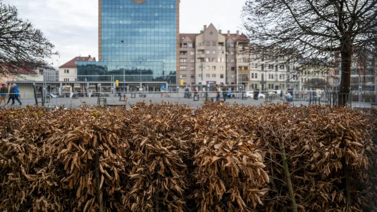 Nowe zieleńce na Placu Bohaterow Getta