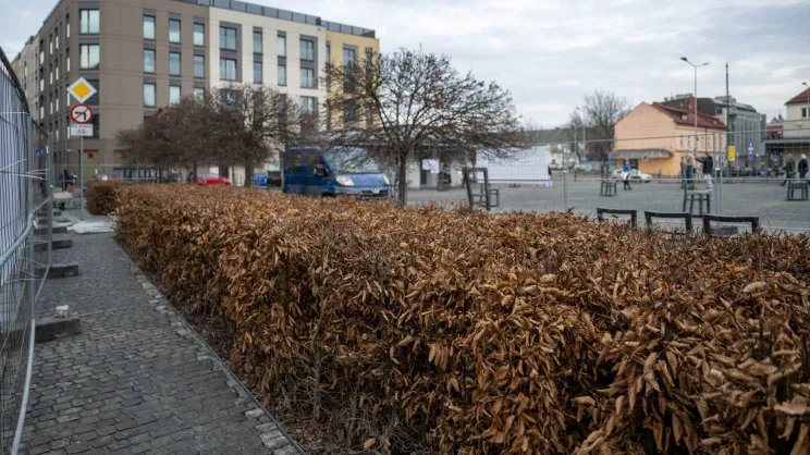 Nowe zieleńce na Placu Bohaterow Getta