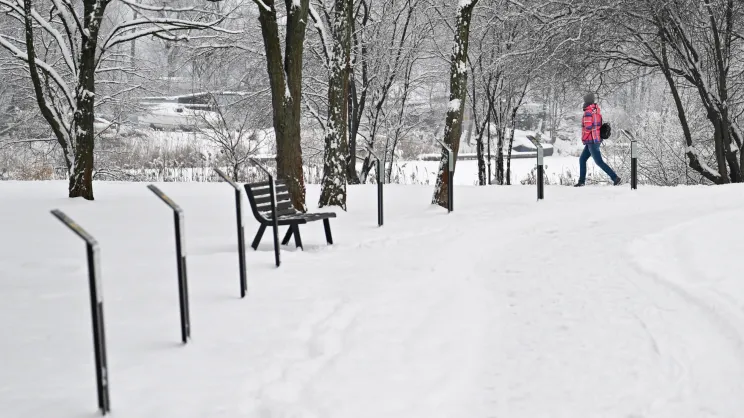Park nad zalewem Bagry