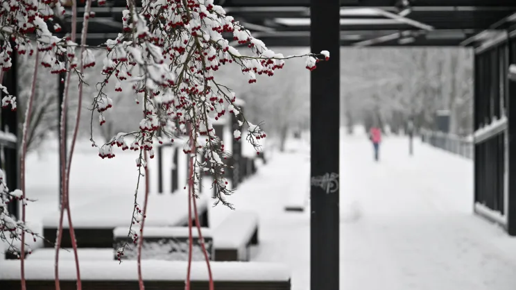 Park nad zalewem Bagry