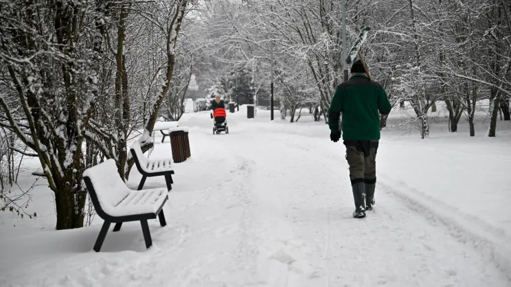 Park nad zalewem Bagry