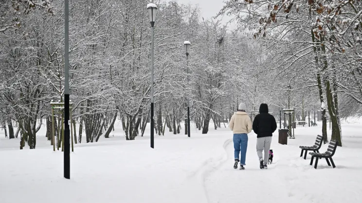 Park nad zalewem Bagry