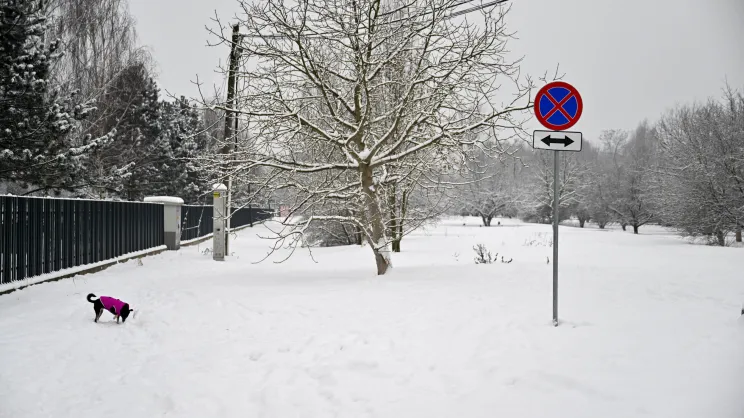 Park nad zalewem Bagry
