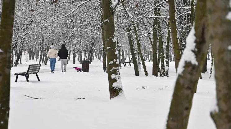 Park nad zalewem Bagry