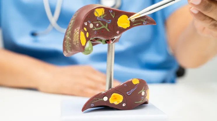 KWSPZ