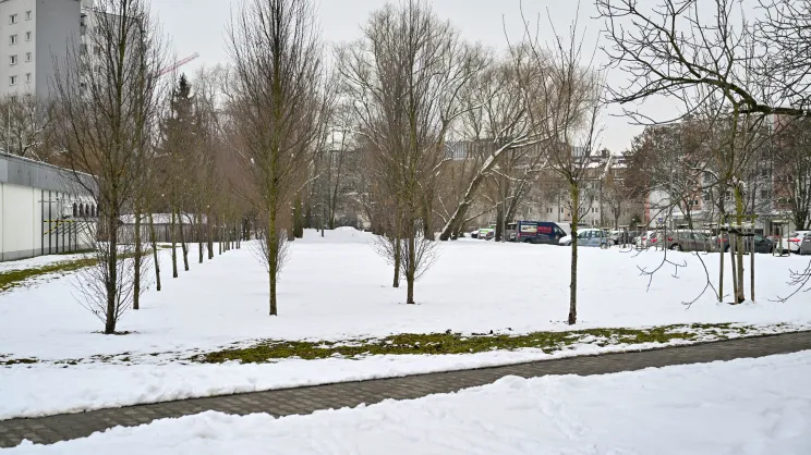 Teren pod park przy ul.Siewnej