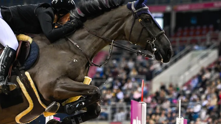 Zawody Perlage CAVALIADA Tour 2026