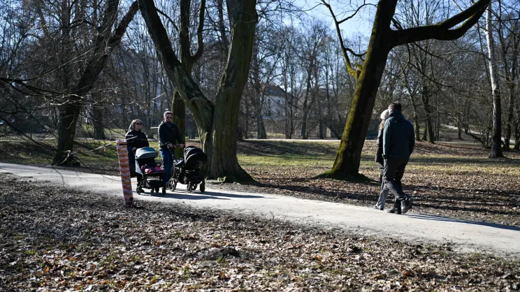 Park Decjusza