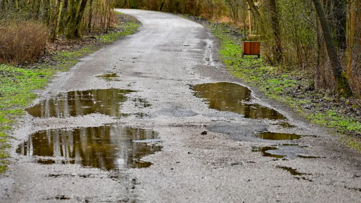 Ścieżka pieszo-rowerowa na ul. Wyłom