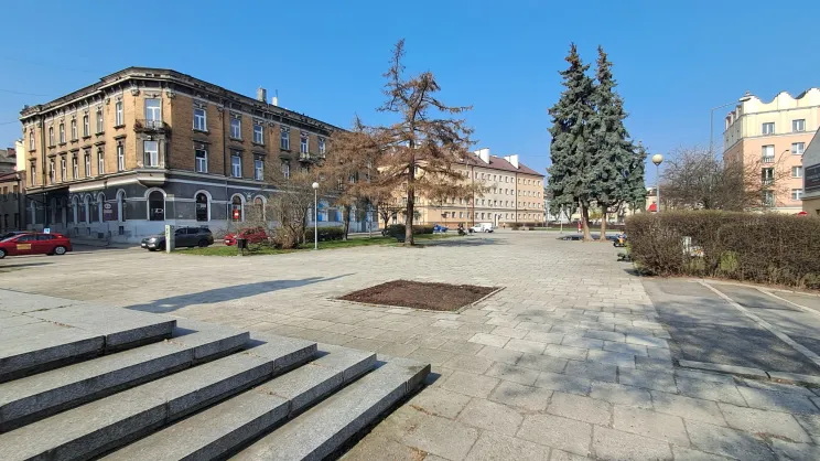 Plac Drzewny