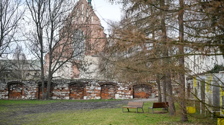 Ogród na Skałce