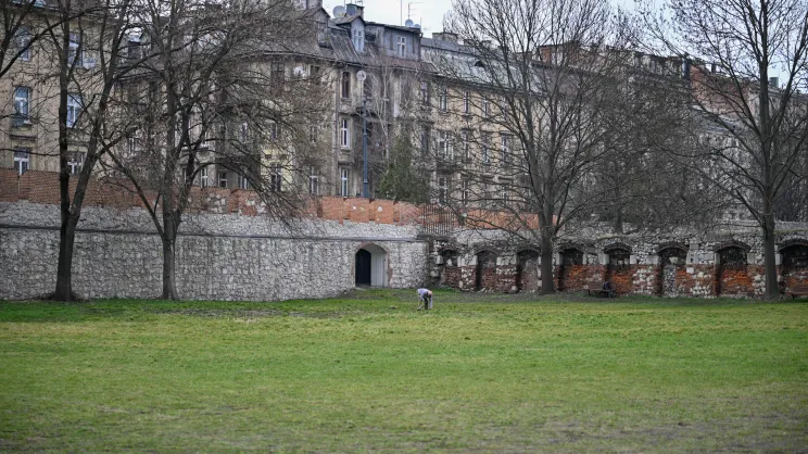 Ogród na Skałce