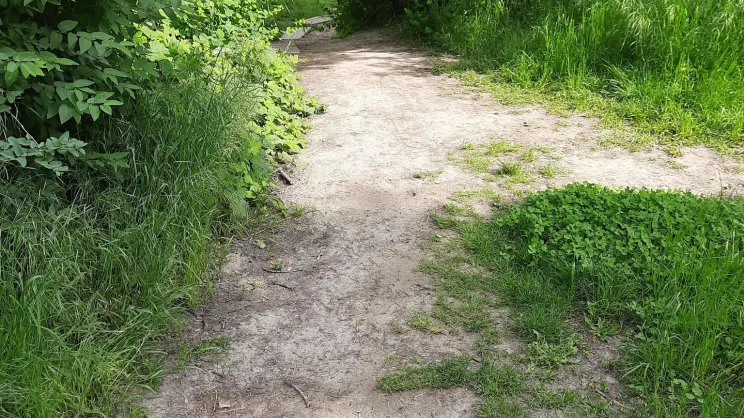 Przy ul. Smorawińskiego powstaną nowe schody i pochylnie