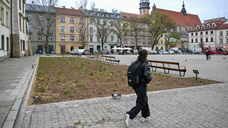 Modernizacja i nasadzenia na Placu Wolnica