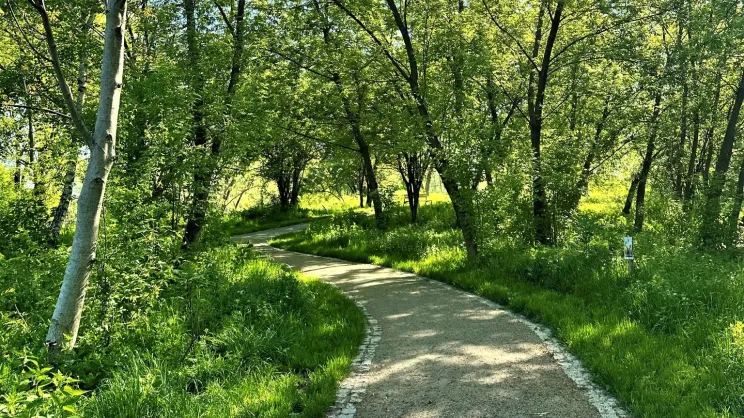 Park w Łagiewnikach