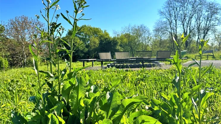 Park w Łagiewnikach