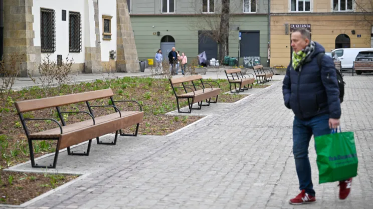 Modernizacja i nasadzenia na Placu Wolnica