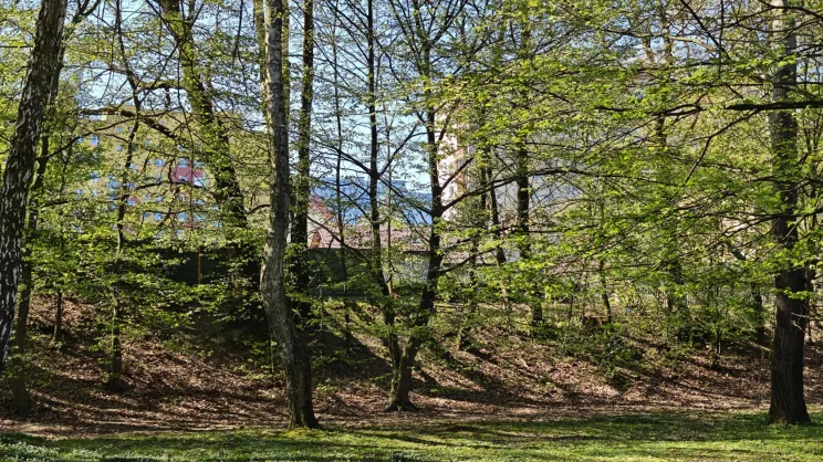 Park Lilli Wenedy