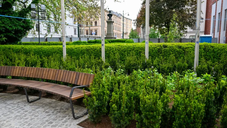 Zielony plac przed UMK