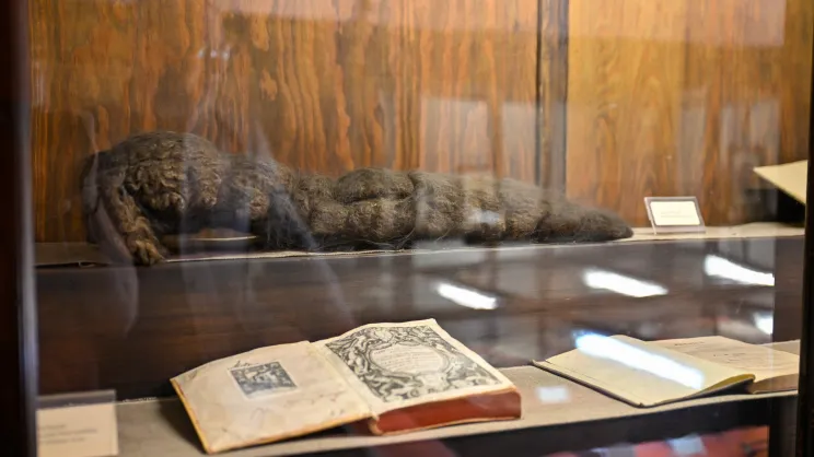 Muzeum medycyny UJ