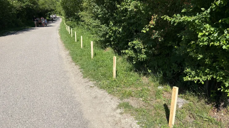 Remont ścieżki pieszo-rowerowej na Zakrzówku