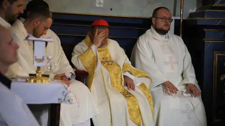 Kard. Grzegorz Ryś. Msza św. dla singli