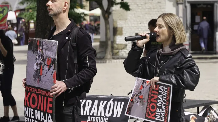 Protest na rynku głównym przeciwko dorożkom